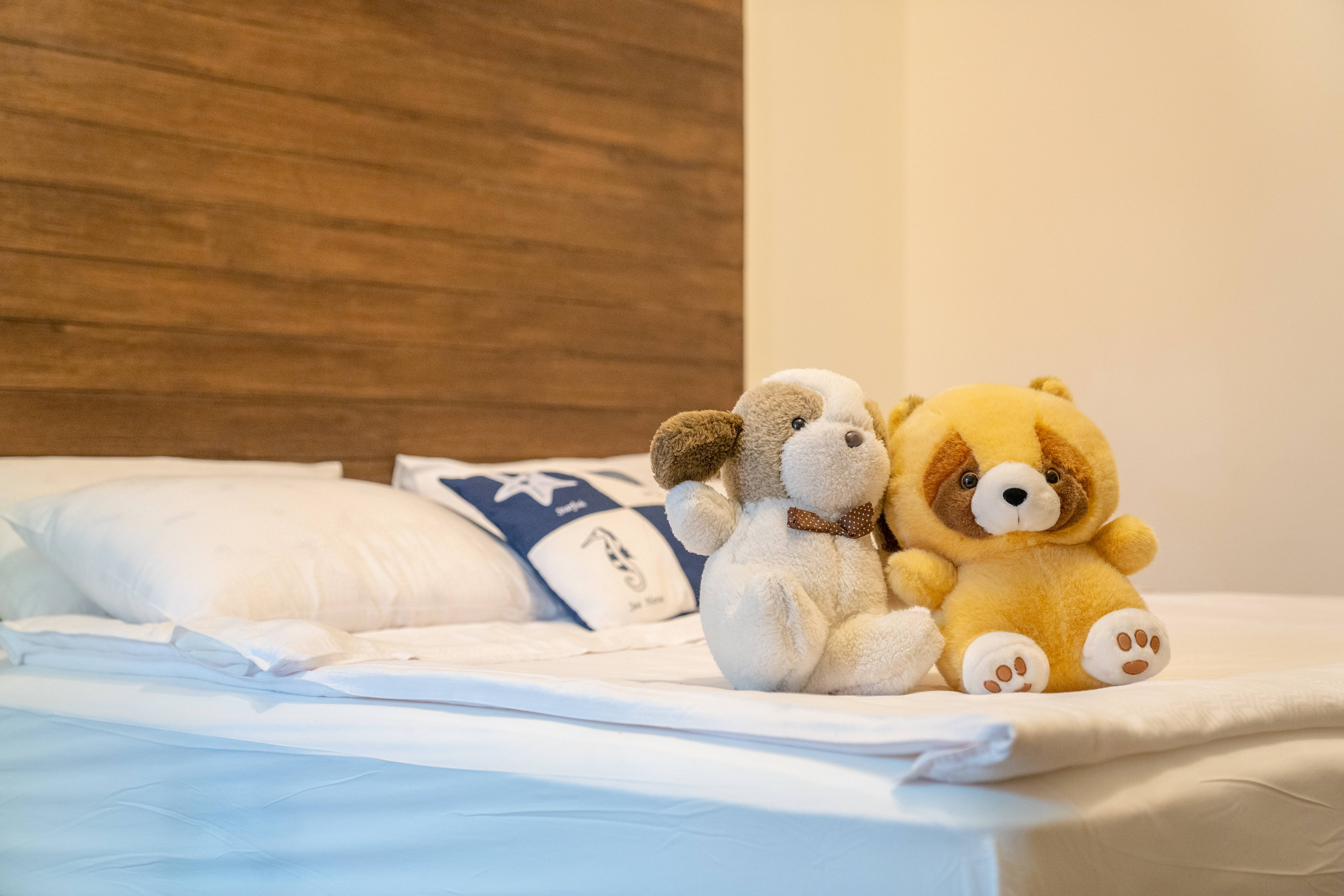 澎湖旅遊-珊瑚海雙人房